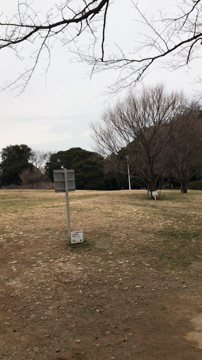 行ってきた！