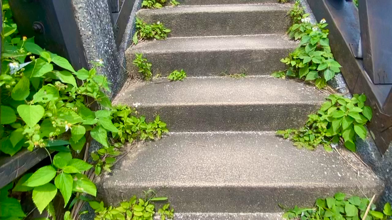 石門洞上からの眺め