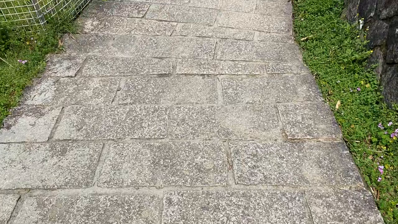 樟樹步道ハイキングロード