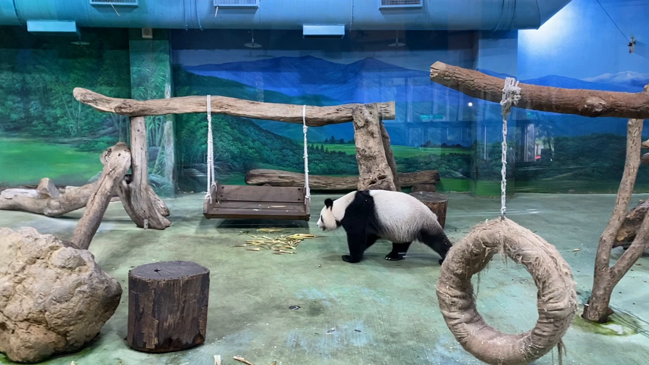 台北市立動物園大猫熊館(パンダ館)