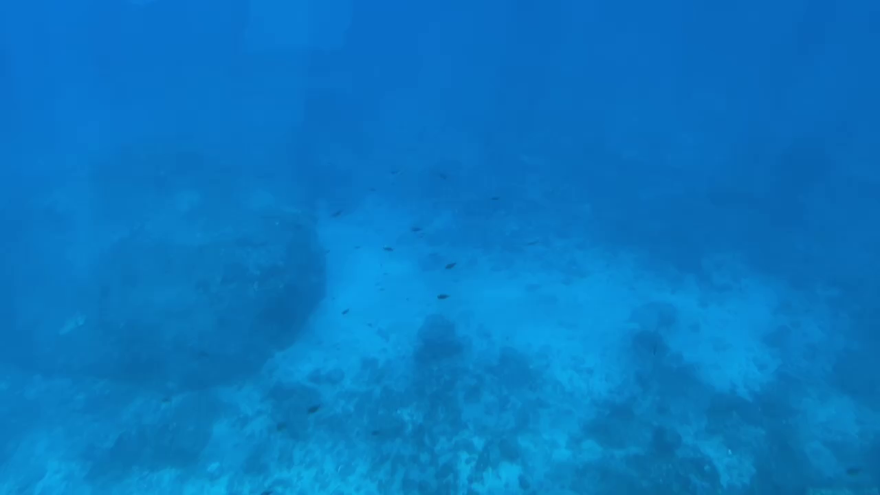 Discoverlamay探索拉美
