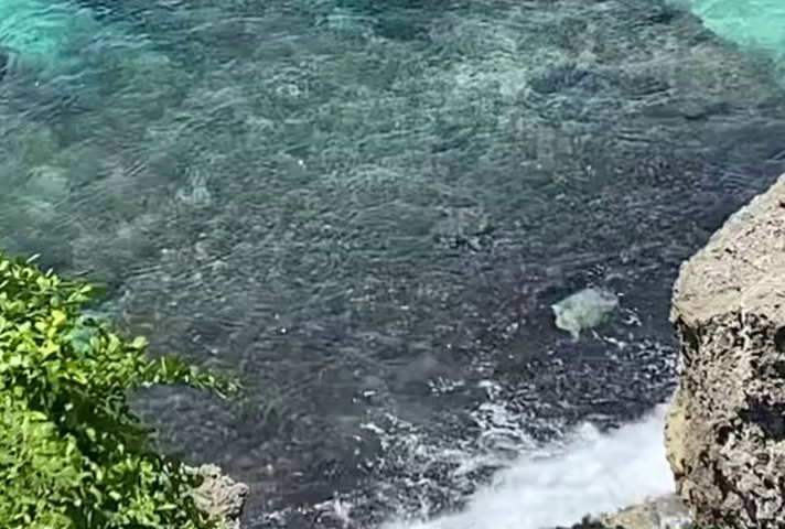 美人洞　望海亭からの眺め