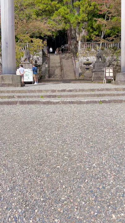 戸隠神社中社の写真・動画_video_7622
