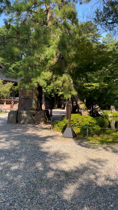 庭園