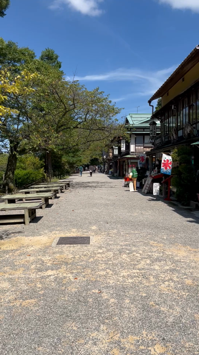 雰囲気良いお店が立ち並ぶエリア