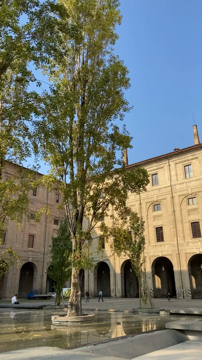 Piazza della Pilottaの写真・動画_video_7879