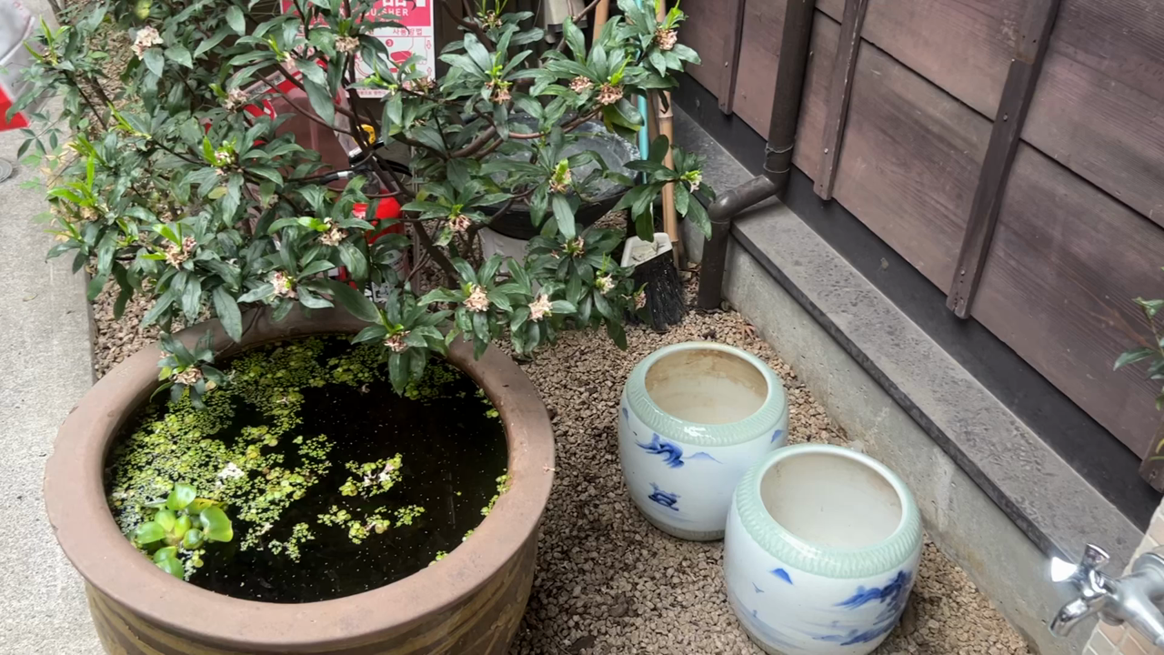 上野桜木あたりの写真・動画_video_8080