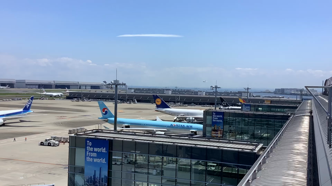 羽田空港国際ターミル 展望デッキの写真・動画_video_8416