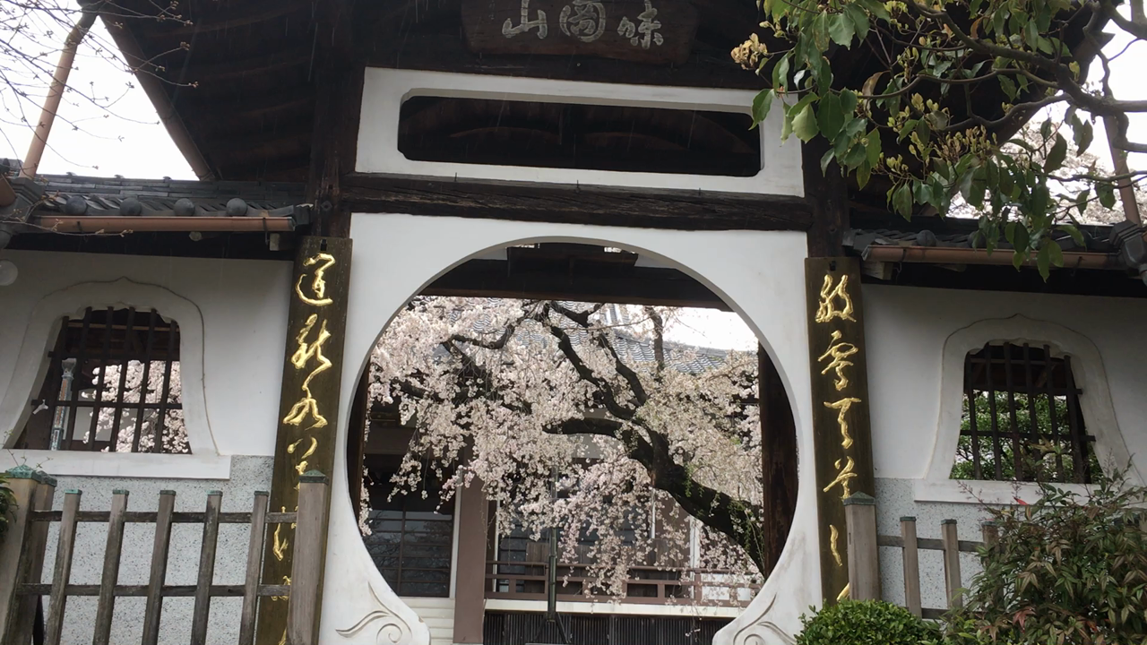 香積院  こうじゃくいん  丸門