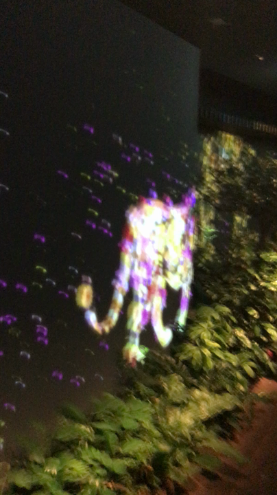 DMM.com 本社の写真・動画_video_901