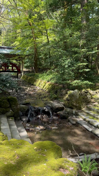 彌彦神社の写真・動画_video_9251