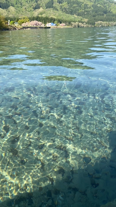 田沢湖の写真・動画_video_9337
