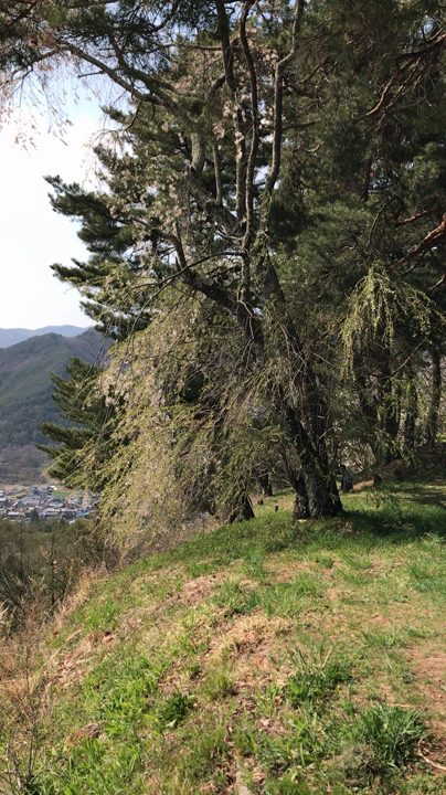 松尾城