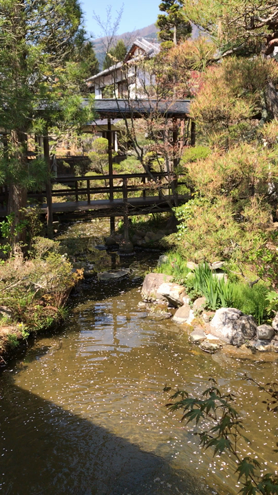 花屋旅館の写真・動画_video_973