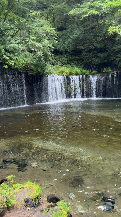 白糸の滝の写真・動画_video_9778