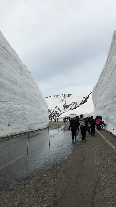 雪の大谷