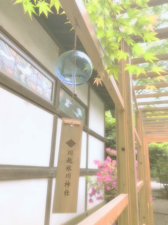 小江戸川越一番街商店街 蔵造りの町並みの写真・動画_video_1016
