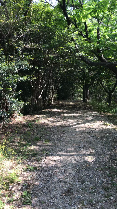 桧原公園