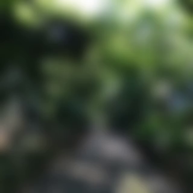 蚕糸の森公園の写真・動画_video_109