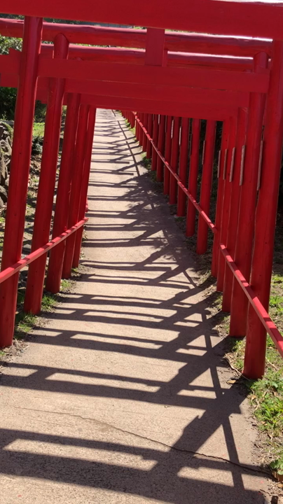 元乃隅神社の写真・動画_video_1092