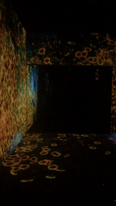 デジタルアート ミュージアム（MORI Building Digital Art Museum: EPSON teamLab Borderless）