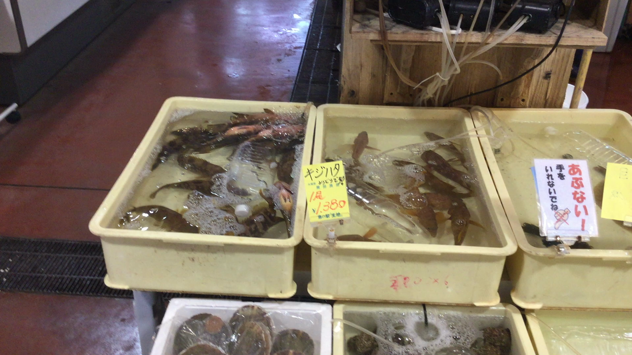 魚の駅生地