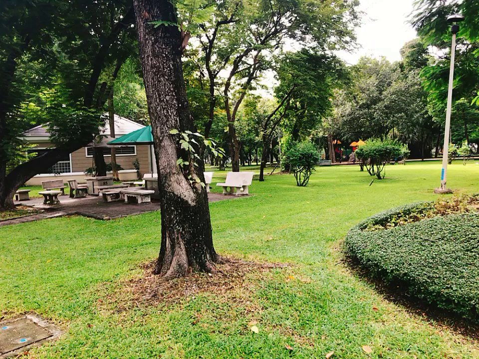 Lumpini Parkの写真・動画_video_1240
