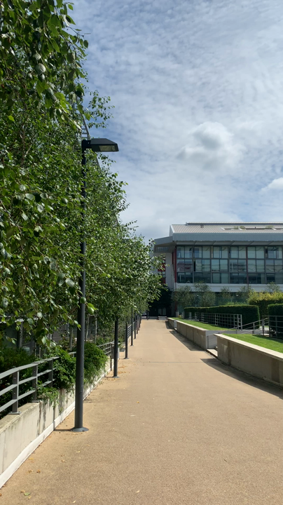 スタジアム・ミューズの写真・動画_video_1480