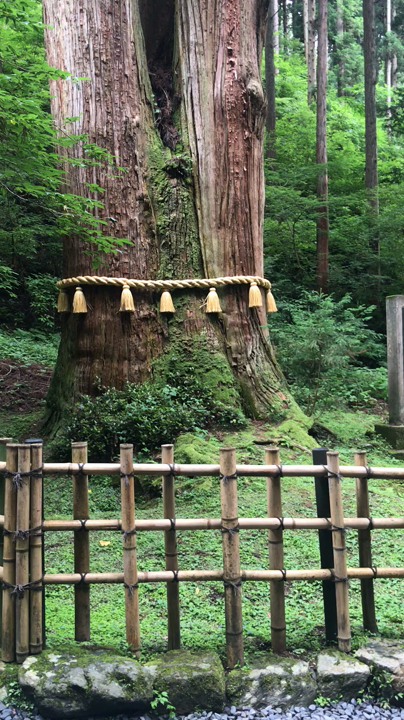 御岩神社の写真・動画_video_1482