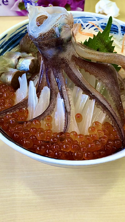 一花亭 たびじの写真・動画_video_1577