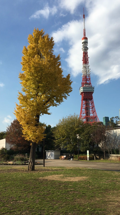 芝公園の写真・動画_video_1629