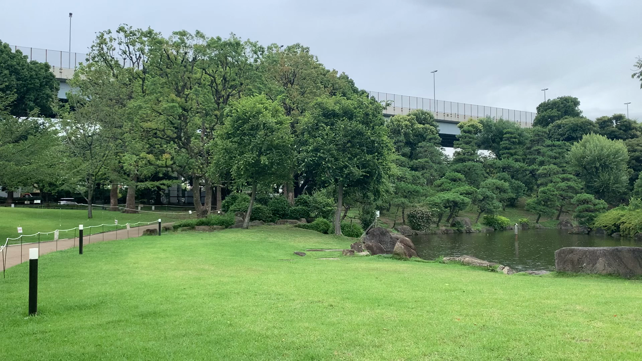 隅田公園の写真・動画_video_1762