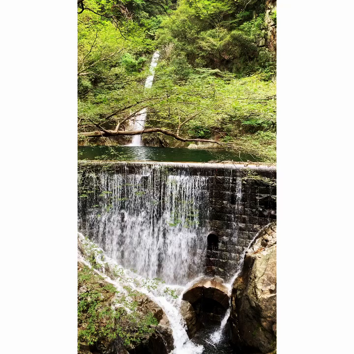 布引の滝の写真・動画_video_1768