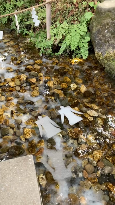 川越氷川神社の写真・動画_video_1832