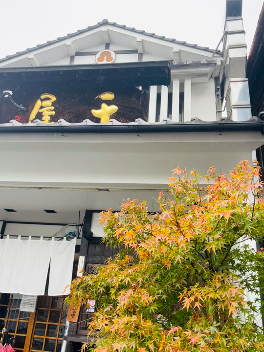 千屋の写真・動画_video_1838