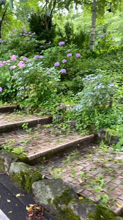 湯野上温泉駅舎の写真・動画_video_1898