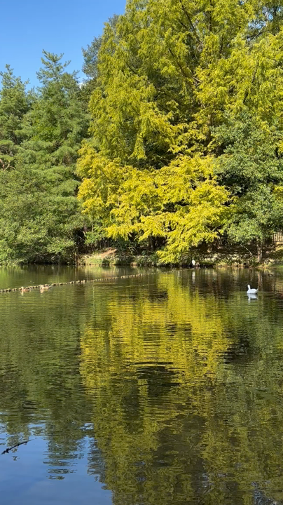 宝ヶ池公園の写真・動画_video_1910