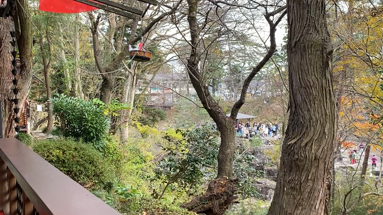 郭公屋の写真・動画_video_1919