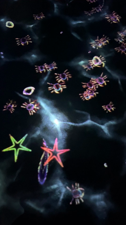 teamLab Forest / チームラボフォレスト – SBI証券の写真・動画_video_1932
