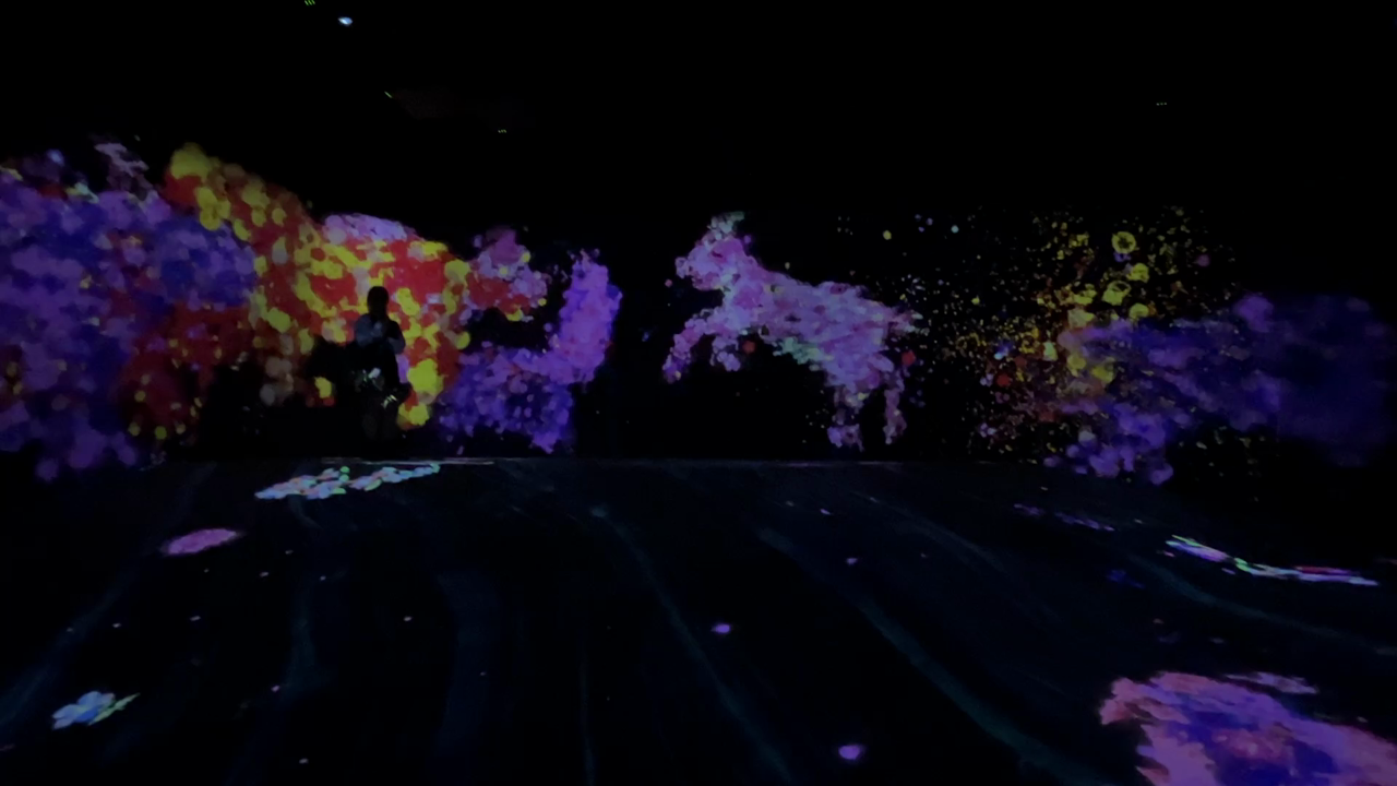 teamLab Forest / チームラボフォレスト – SBI証券の写真・動画_video_1933