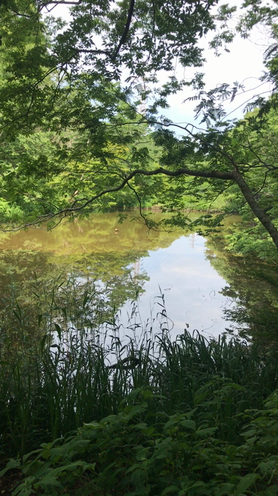 泉自然公園