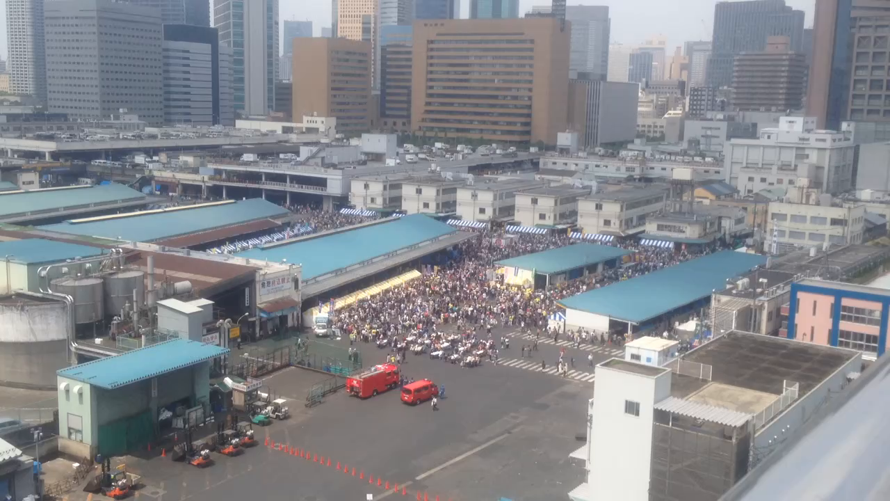 東京都中央卸売市場築地市場の写真・動画_video_25