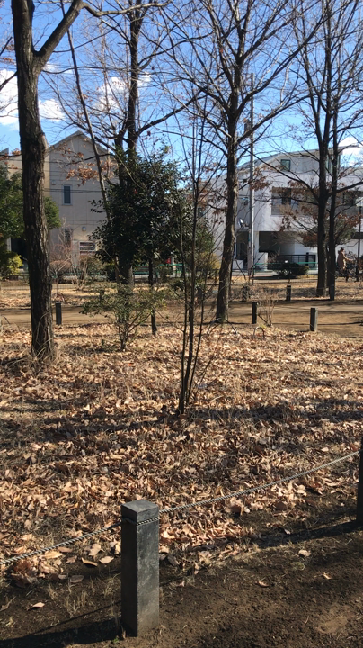 区立柏の宮公園