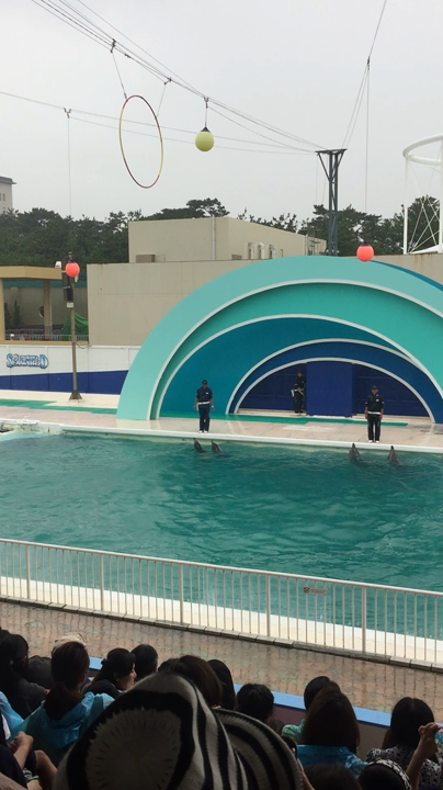 鴨川シーワールド
