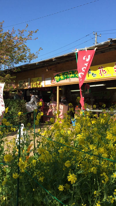 河津川