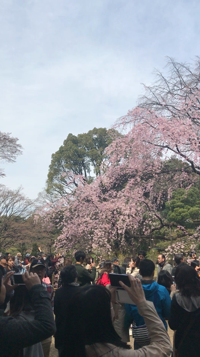 六義園
