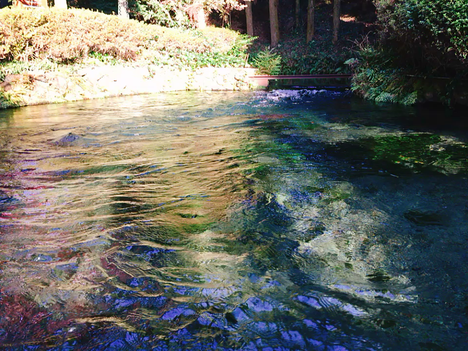 白川水源
