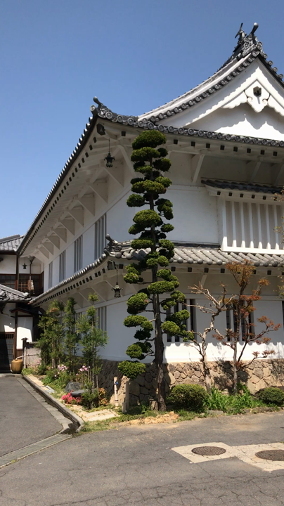 花屋旅館の写真・動画_video_432