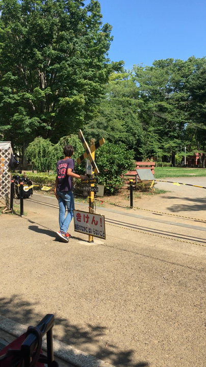 世田谷公園の写真・動画_video_554