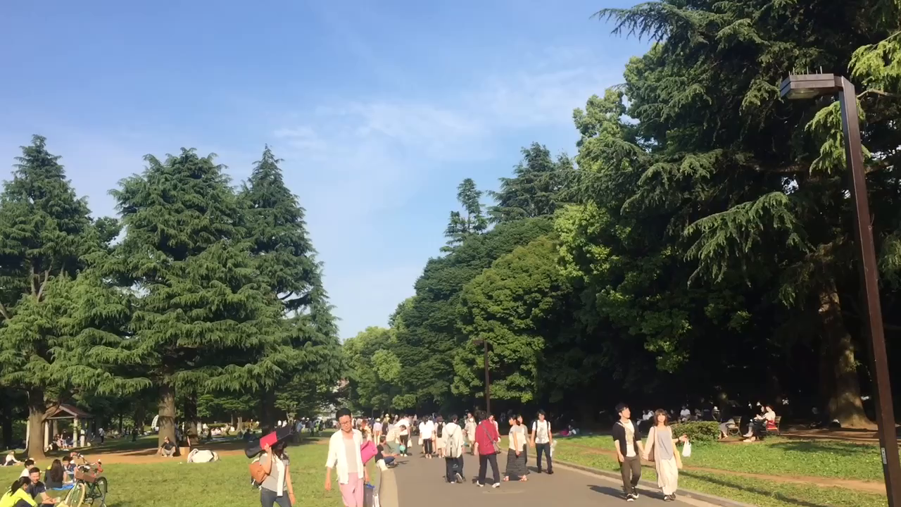 代々木公園